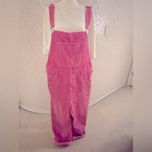 We The Free Pink Ziggy Denim Overalls